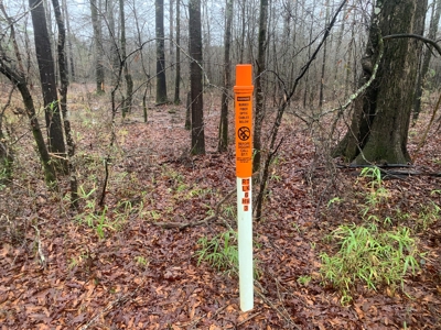 Hunting Timberland Property for Sale in Southern Arkansas - image 4