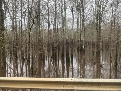 Hunting Timberland Property for Sale in Southern Arkansas - image 10