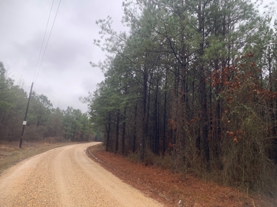 Hunting Timberland Property for Sale in Southern Arkansas - image 12