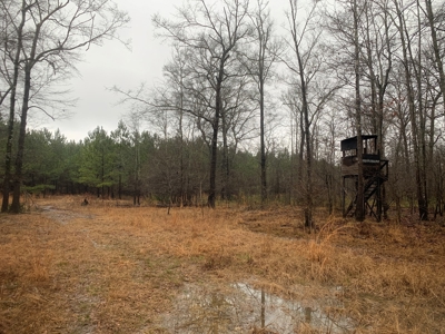 Hunting Timberland Property for Sale in Southern Arkansas - image 38