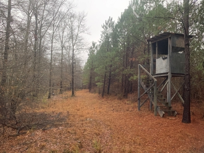 Hunting Timberland Property for Sale in Southern Arkansas - image 14
