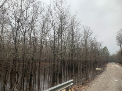 Hunting Timberland Property for Sale in Southern Arkansas - image 9