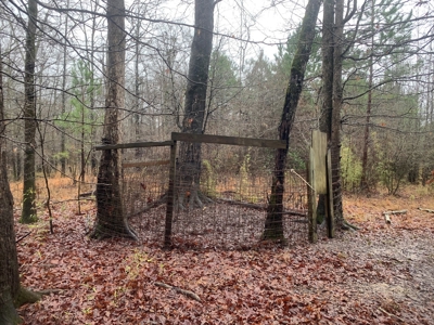 Hunting Timberland Property for Sale in Southern Arkansas - image 2
