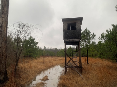 Hunting Timberland Property for Sale in Southern Arkansas - image 20