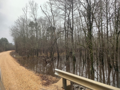 Hunting Timberland Property for Sale in Southern Arkansas - image 11