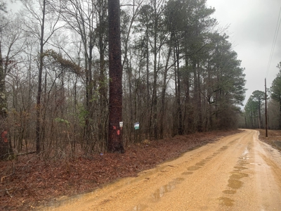 Hunting Timberland Property for Sale in Southern Arkansas - image 8