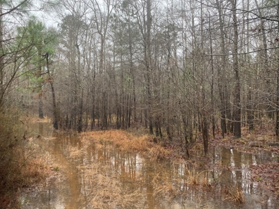 Hunting Timberland Property for Sale in Southern Arkansas - image 28