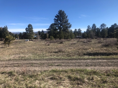 Beautiful site next to 20,000 acre wildlife area Chama NM - image 1