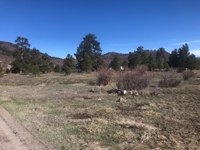 Beautiful site next to 20,000 acre wildlife area Chama NM - image 3