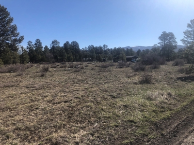 Beautiful site next to 20,000 acre wildlife area Chama NM - image 4