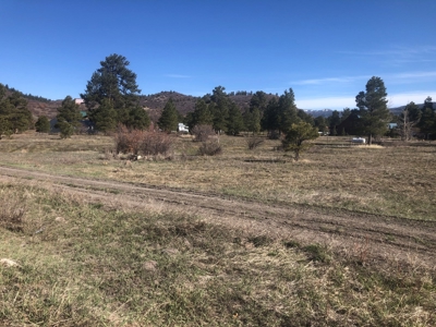 Beautiful site next to 20,000 acre wildlife area Chama NM - image 2