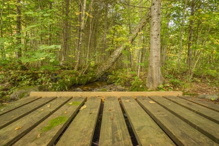 North Maine Woods Log Cabin Retreat - image 1