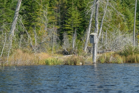 North Maine Woods Log Cabin Retreat - image 37