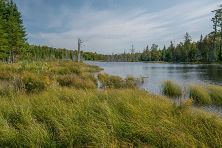 North Maine Woods Log Cabin Retreat - image 6