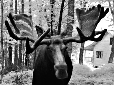 North Maine Woods Log Cabin Retreat - image 34