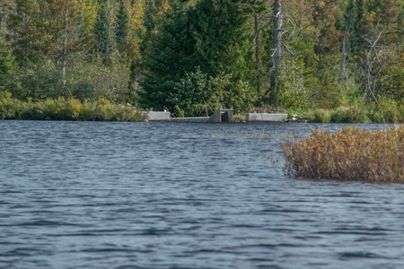 North Maine Woods Log Cabin Retreat - image 32