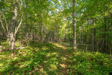 North Maine Woods Log Cabin Retreat - image 5