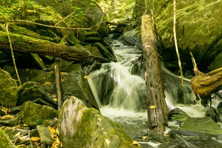 North Maine Woods Log Cabin Retreat - image 2