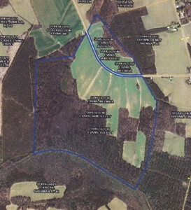 Farmland-Hunting In Hertford County, North Carolina - image 1