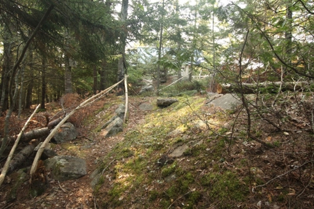 Waterfront Camp for Sale in Lubec - image 10