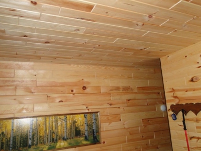 Secluded cabin on 40 acres in Ozark County - image 14