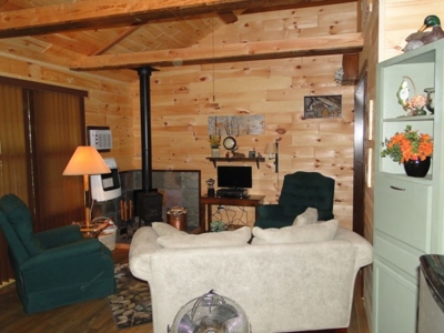 Secluded cabin on 40 acres in Ozark County - image 27