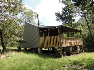 Secluded cabin on 40 acres in Ozark County - image 3