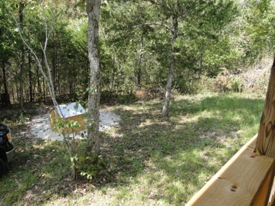 Secluded cabin on 40 acres in Ozark County - image 21