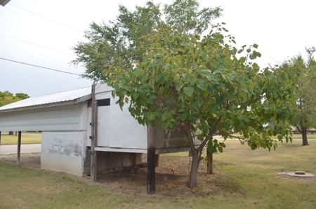 Coldwater Kansas Country Home For Sale - image 8