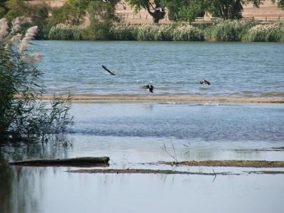 Rarely does a lake view building site in Southwestern Kansas - image 5