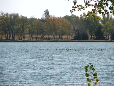 Rarely does a lake view building site in Southwestern Kansas - image 10