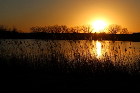 Rarely does a lake view building site in Southwestern Kansas - image 34