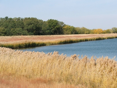 Rarely does a lake view building site in Southwestern Kansas - image 15