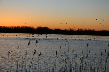 Rarely does a lake view building site in Southwestern Kansas - image 36