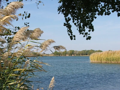 Rarely does a lake view building site in Southwestern Kansas - image 17