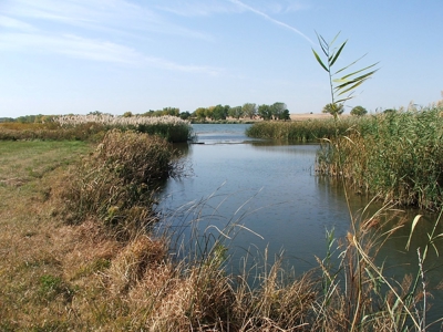 Rarely does a lake view building site in Southwestern Kansas - image 6