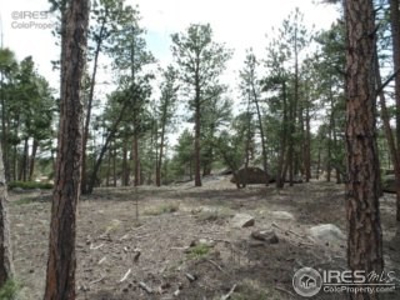 Golf Course community land for sale in Red Feather Lakes, CO - image 3