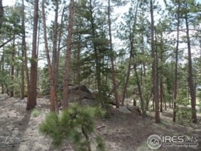 Golf Course community land for sale in Red Feather Lakes, CO - image 1