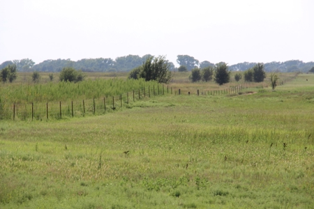 Coldwater Lake Lot For Sale 2002 Winchester Way - image 35