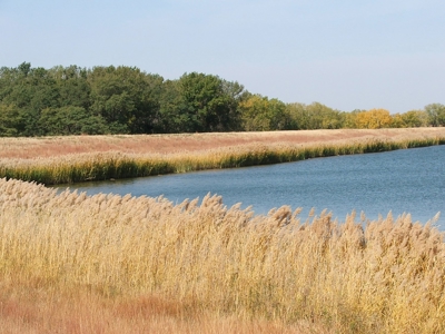 Coldwater Lake Lot For Sale 2002 Winchester Way - image 15