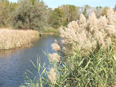 Coldwater Lake Lot For Sale 2002 Winchester Way - image 4