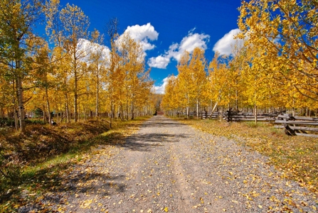 Mountain Cabin For Sale in Western Colorado - image 9