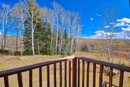 Mountain Cabin For Sale in Western Colorado - image 12