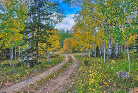Mountain Cabin For Sale in Western Colorado - image 7