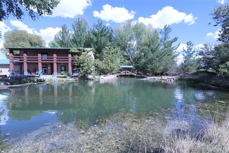 Country Estate Home custom built with man made lake - image 4