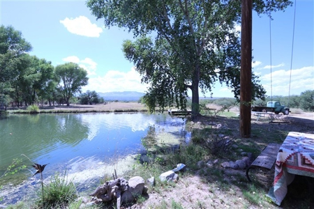 Country Estate Home custom built with man made lake - image 12