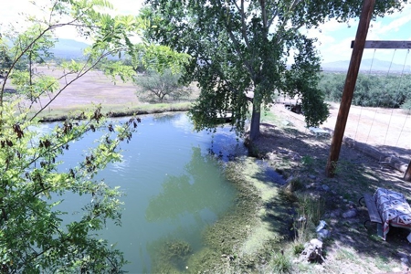 Country Estate Home custom built with man made lake - image 28