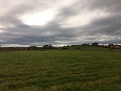 Family Farm near the Mohawk Valley - image 23