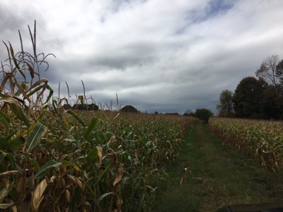 Family Farm near the Mohawk Valley - image 10