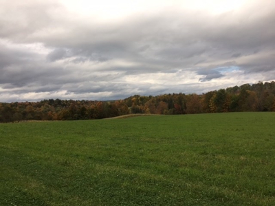 Family Farm near the Mohawk Valley - image 12